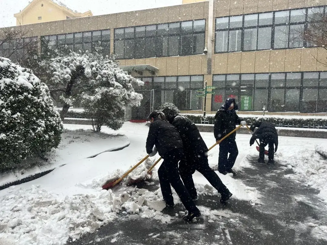 Топло течение в студена вълна